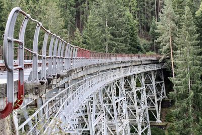 View of bridge in forest