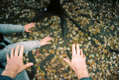 High angle view of hands touching leaves