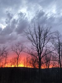 Silhouette bare trees against sky during sunset