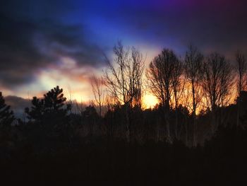 Silhouette of trees at sunset