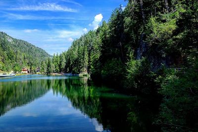 Scenic view of lake in forest against sky