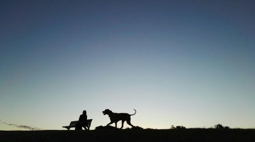 Silhouette of people standing on field