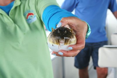 Midsection of man holding puffer fish 