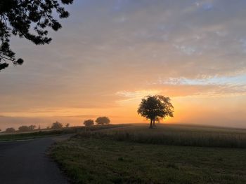 Scenic view of field against sky during sunset