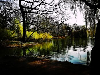 Scenic view of lake in forest against sky