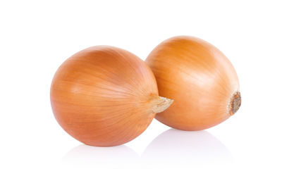 High angle view of pumpkins against white background