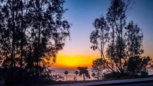 Silhouette trees on beach against sky at sunset