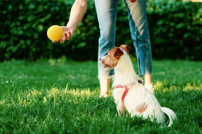 Woman playing with dog in the park