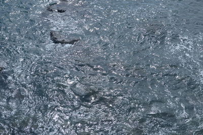 Full frame shot of sea
