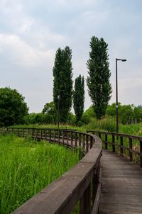 Boardwalk amidst trees on field against sky