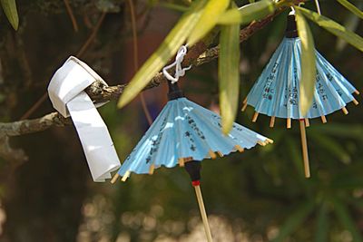 Close-up of umbrella hanging on rope