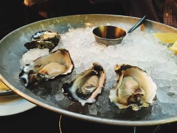 Close-up of oysters in plate