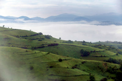 Scenic view of landscape against sky