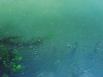 Full frame shot of water