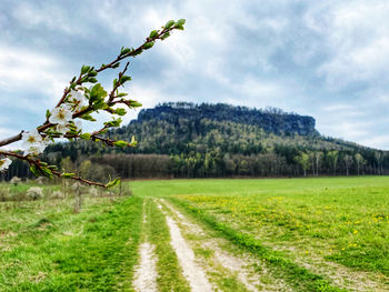 Road amidst field against sky