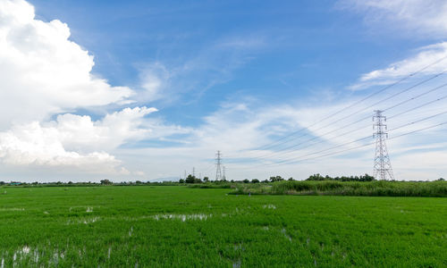 Electricity pylon on field against sky