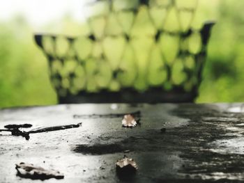 Close-up of water on table