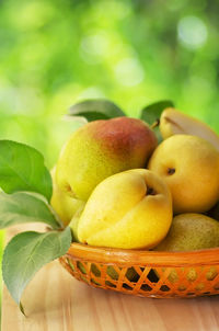 Close-up of pears in basket