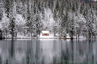 Scenic view of lake against trees