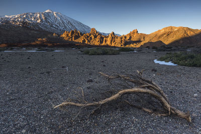 Scenic view of desert against sky