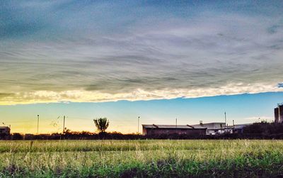 Scenic view of grassy field against cloudy sky