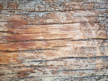 Full frame shot of weathered wood