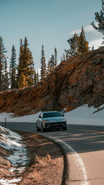 Car on road by trees against sky