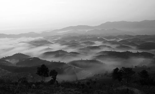 During a trip over the mountains in the early morning misty in bao loc, da lat.