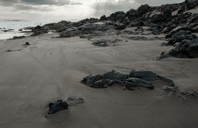 View of crab on sand at beach against sky