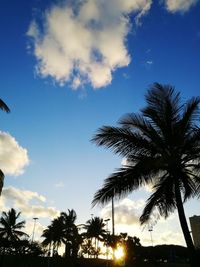 Low angle view of silhouette palm trees against sky