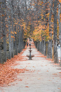 Man walking on road amidst autumn trees