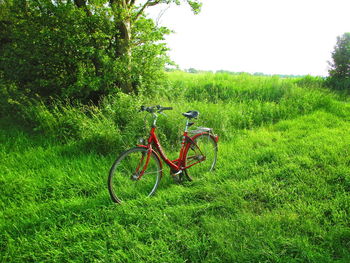 View of bicycle on grassy field