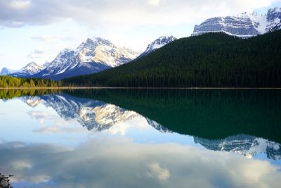 Snowcapped mountain and trees reflecting on lake