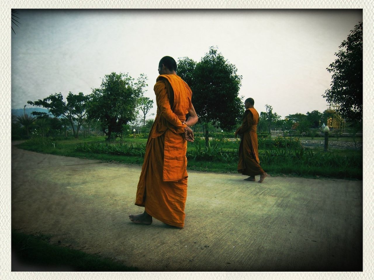 transfer print, auto post production filter, full length, men, rear view, lifestyles, leisure activity, person, tree, standing, clear sky, sky, grass, field, outdoors, walking, casual clothing