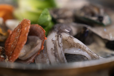 View of the raw squid in the stew
