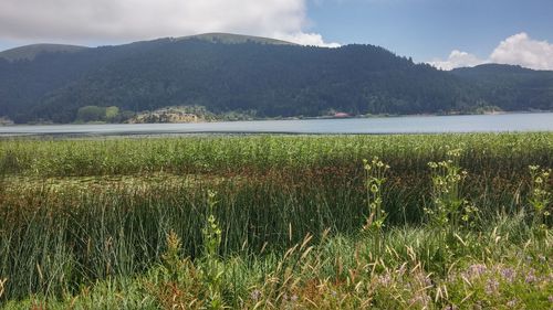 Scenic view of lake and mountains against sky