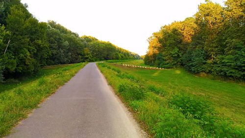 Empty road amidst trees against sky