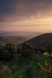 Scenic view of landscape against dramatic sky