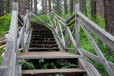 Wooden staircase in the green forest. a beautiful hiking trail or path through the forest.