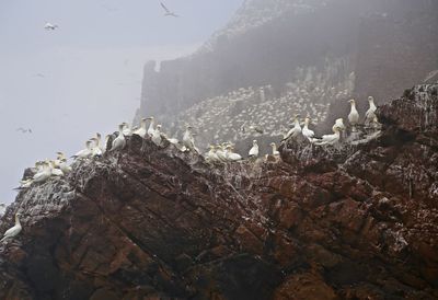 Panoramic view of sea and mountains against sky