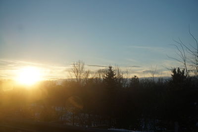 Bare trees on landscape at sunset