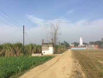 Plants on field by building against sky