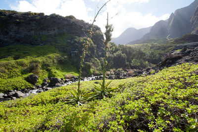 Scenic view of mountains