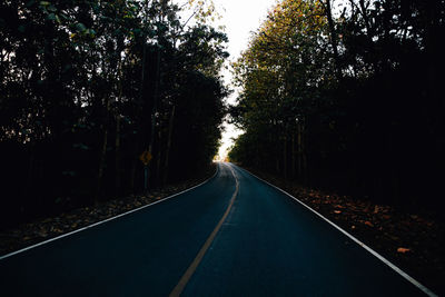 Empty road amidst trees in forest