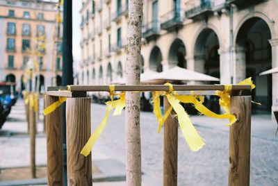 Protest in catalonia