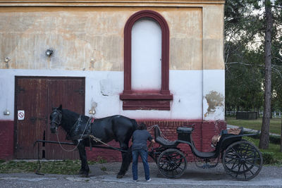 Horse cart