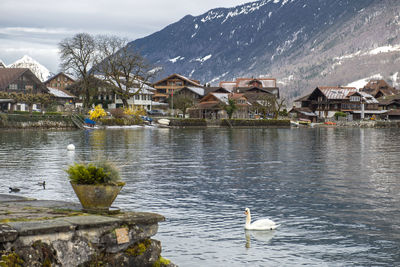 Scenic view of lake and buildings against mountain