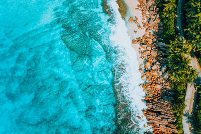 High angle view of plants by swimming pool