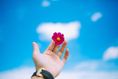 Close-up of hand holding flower against sky