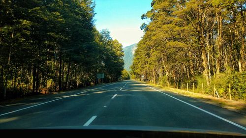 Road amidst trees against clear sky